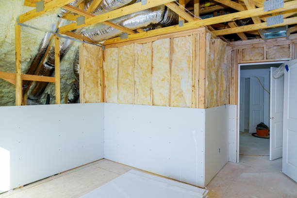 Best Geographic-Specific Insulation Services in Mason City, IL