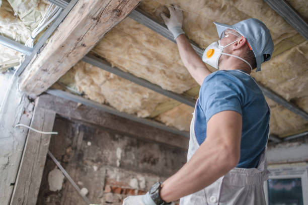 Best Spray Foam Insulation in Mason City, IL